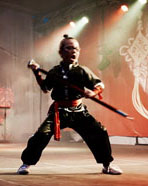 Kung Fu voor Chinees Nieuwjaar Rotterdam 2017